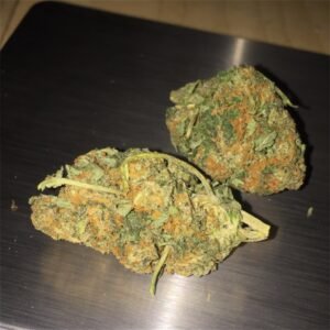 Blueberry kush