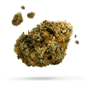 Chocolope Bluten kush